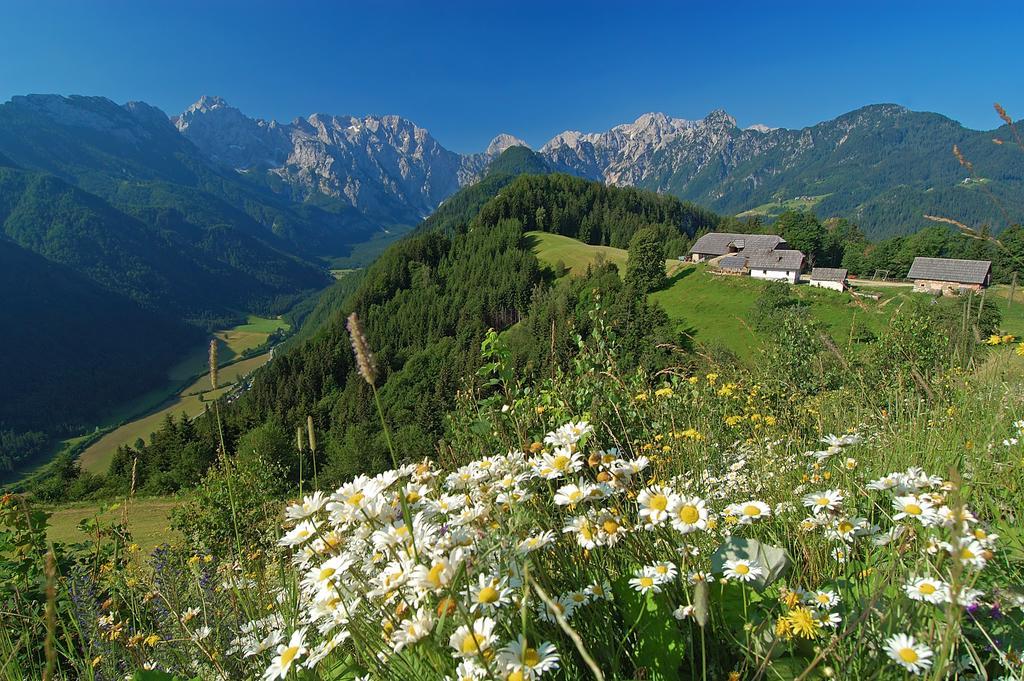 The Farmhouse Bevsek Osep Солчава Экстерьер фото